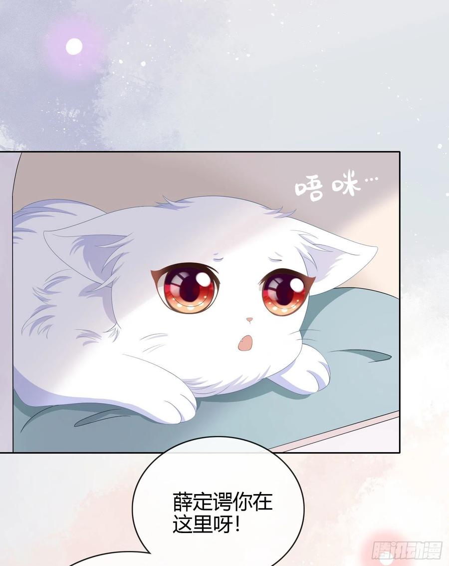 绿茶终结者33