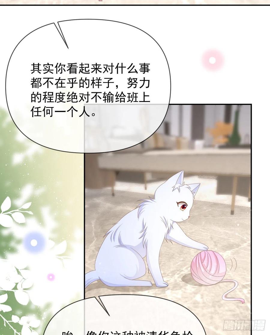 薛定谔的猫5