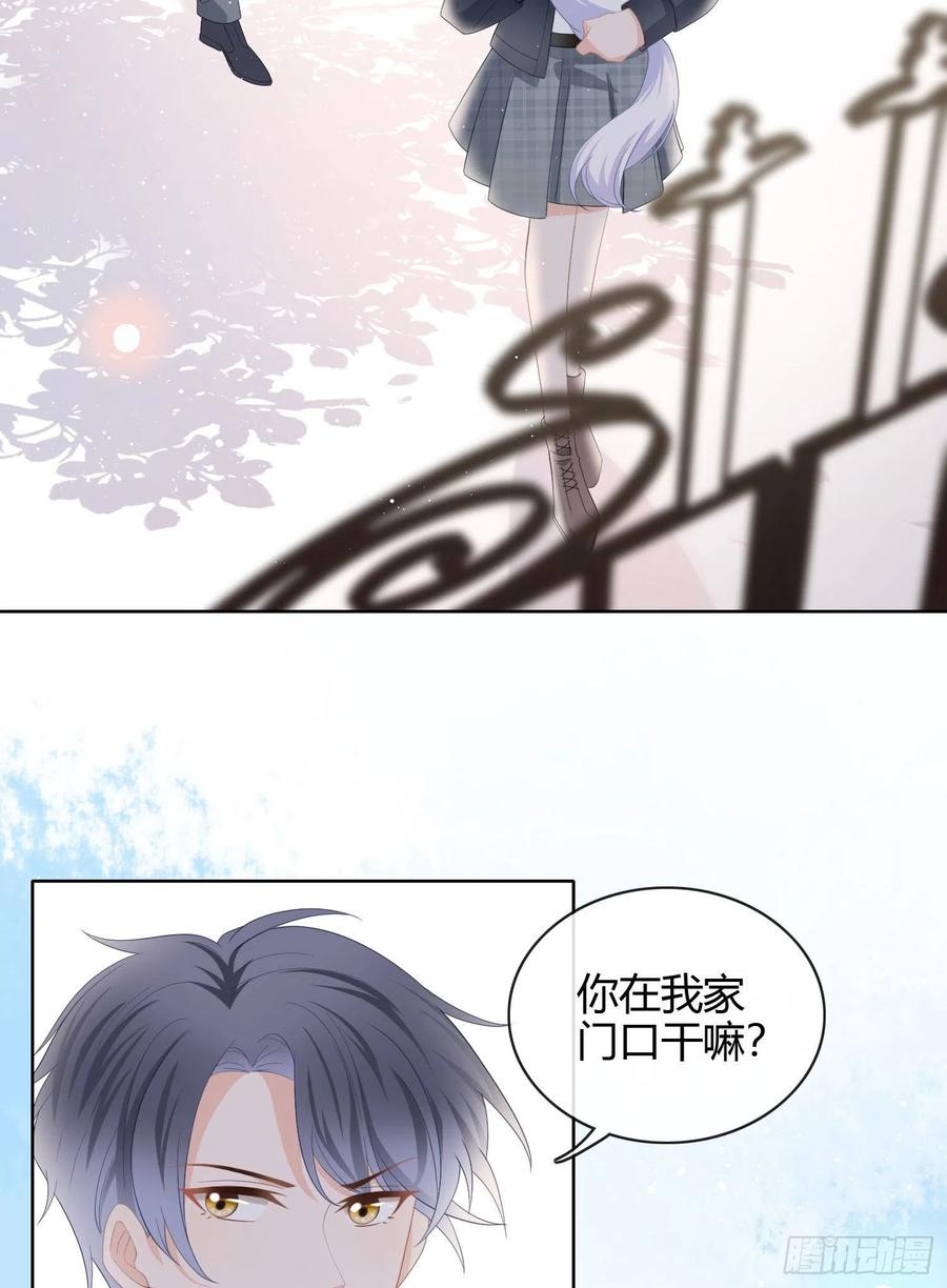 绿茶终结者40
