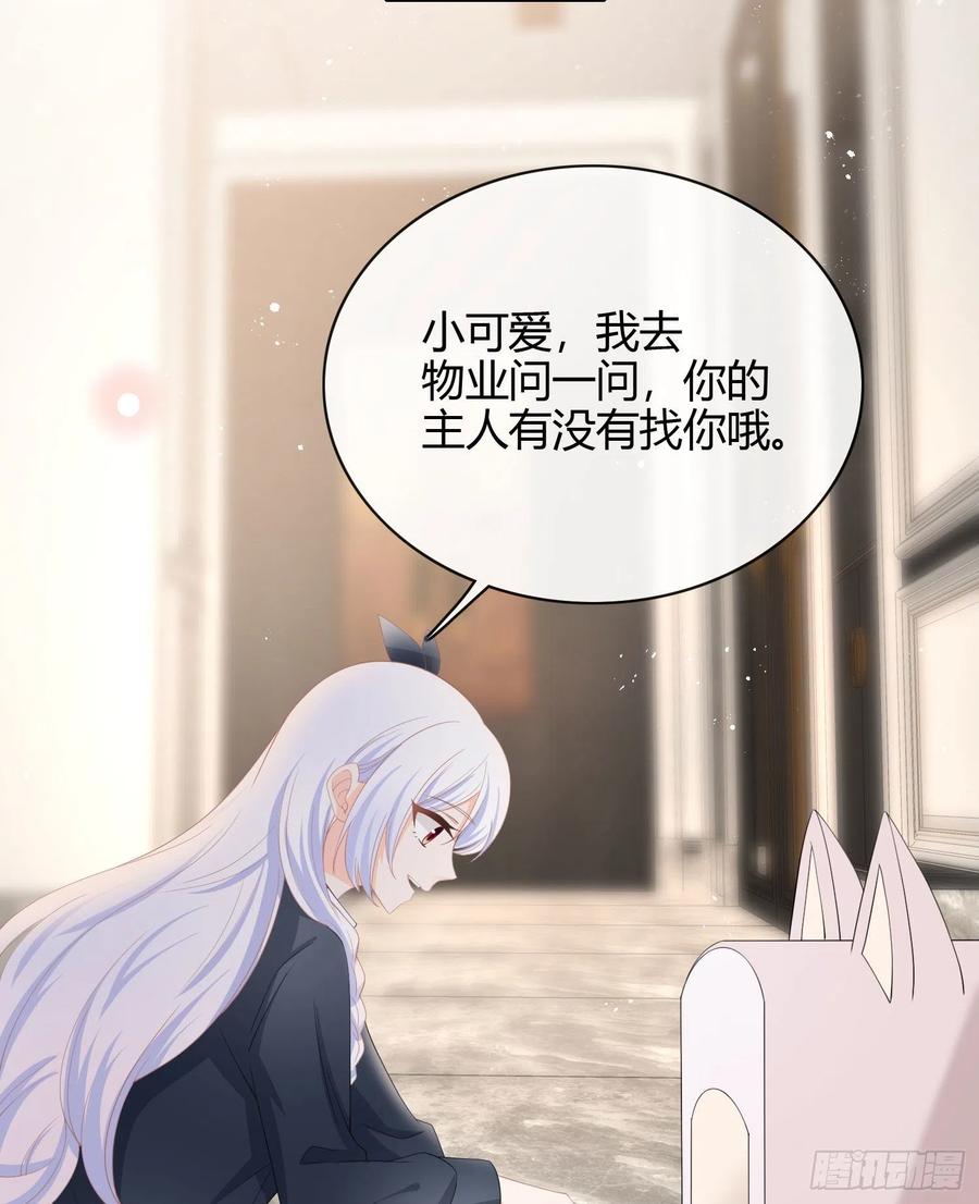 绿茶终结者3