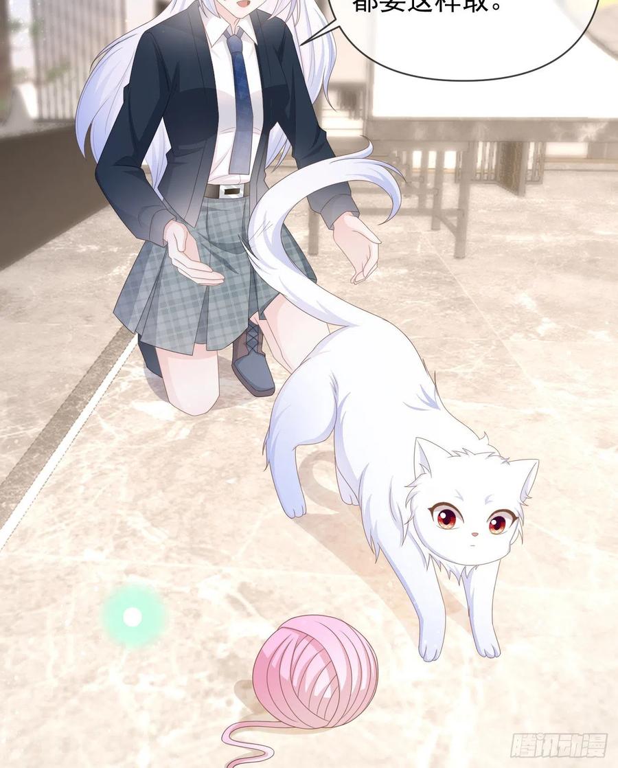 薛定谔的猫4