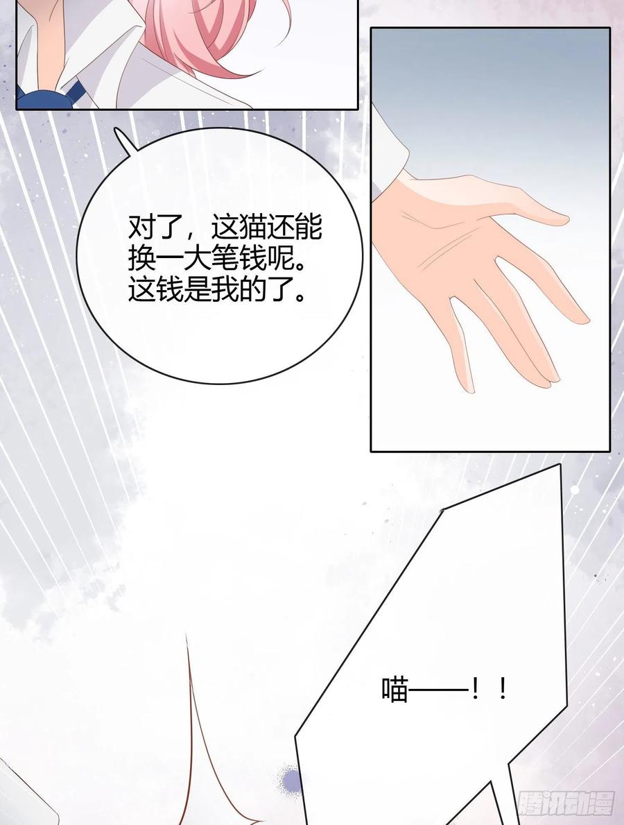 绿茶终结者11