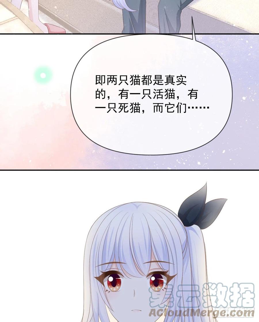 薛定谔的猫27