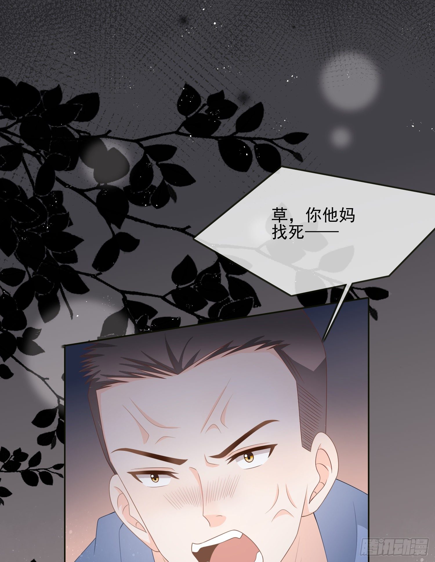 挖墙脚的狗11