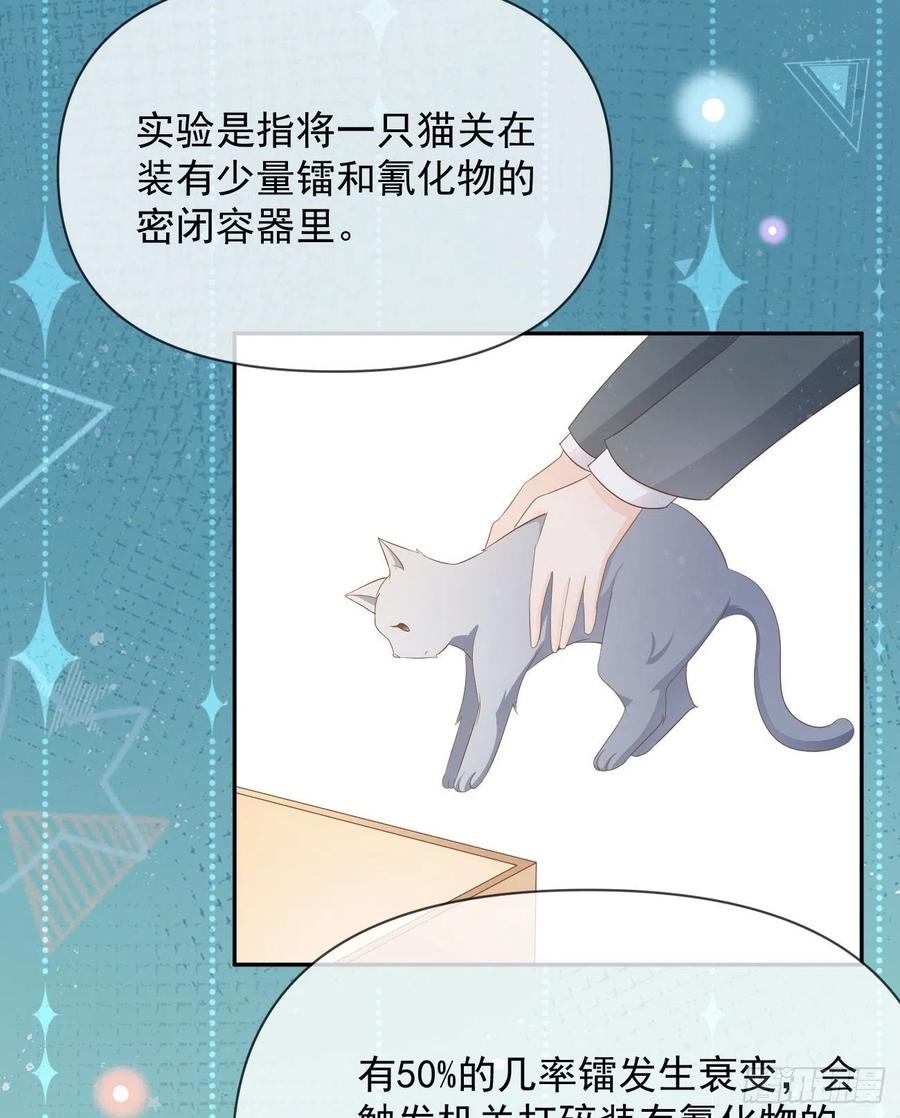 薛定谔的猫22