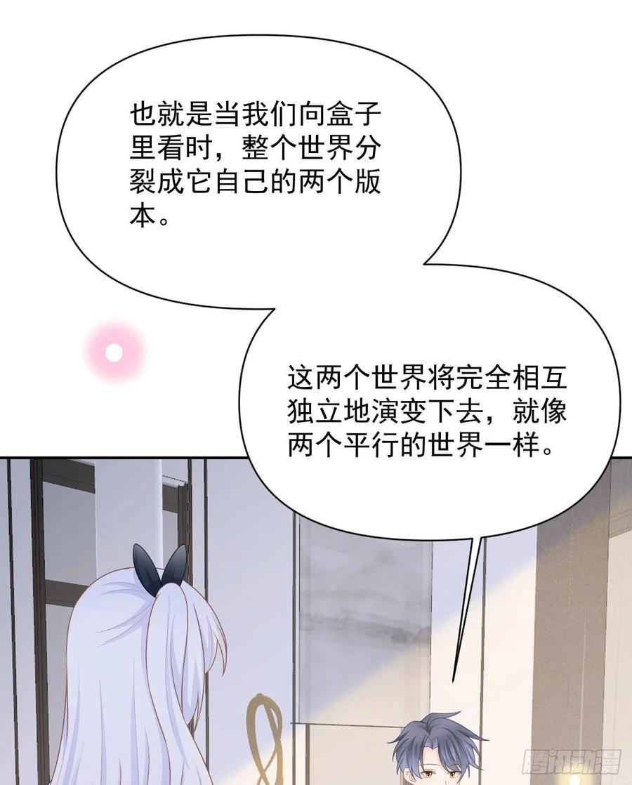 薛定谔的猫29