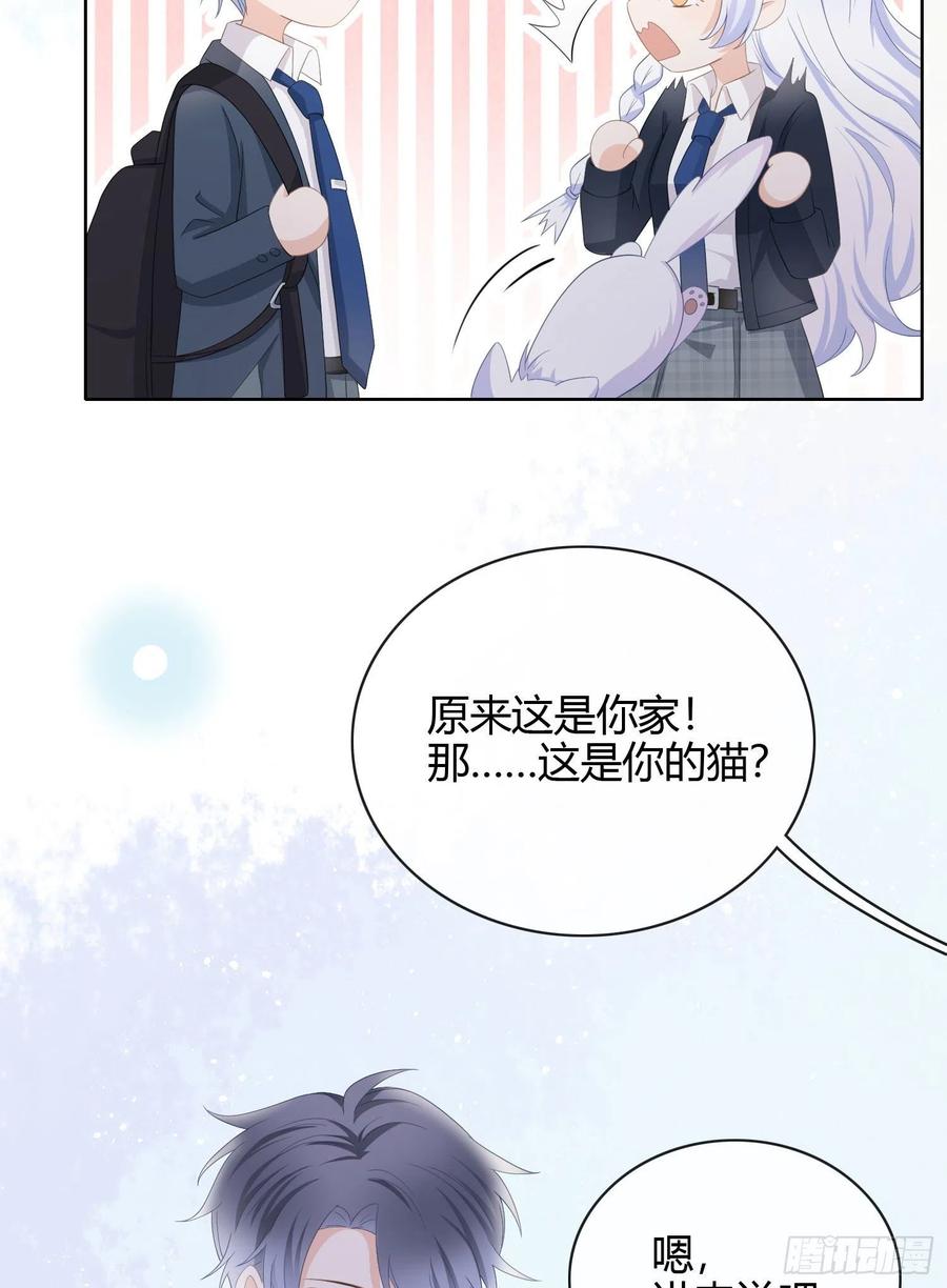 绿茶终结者42