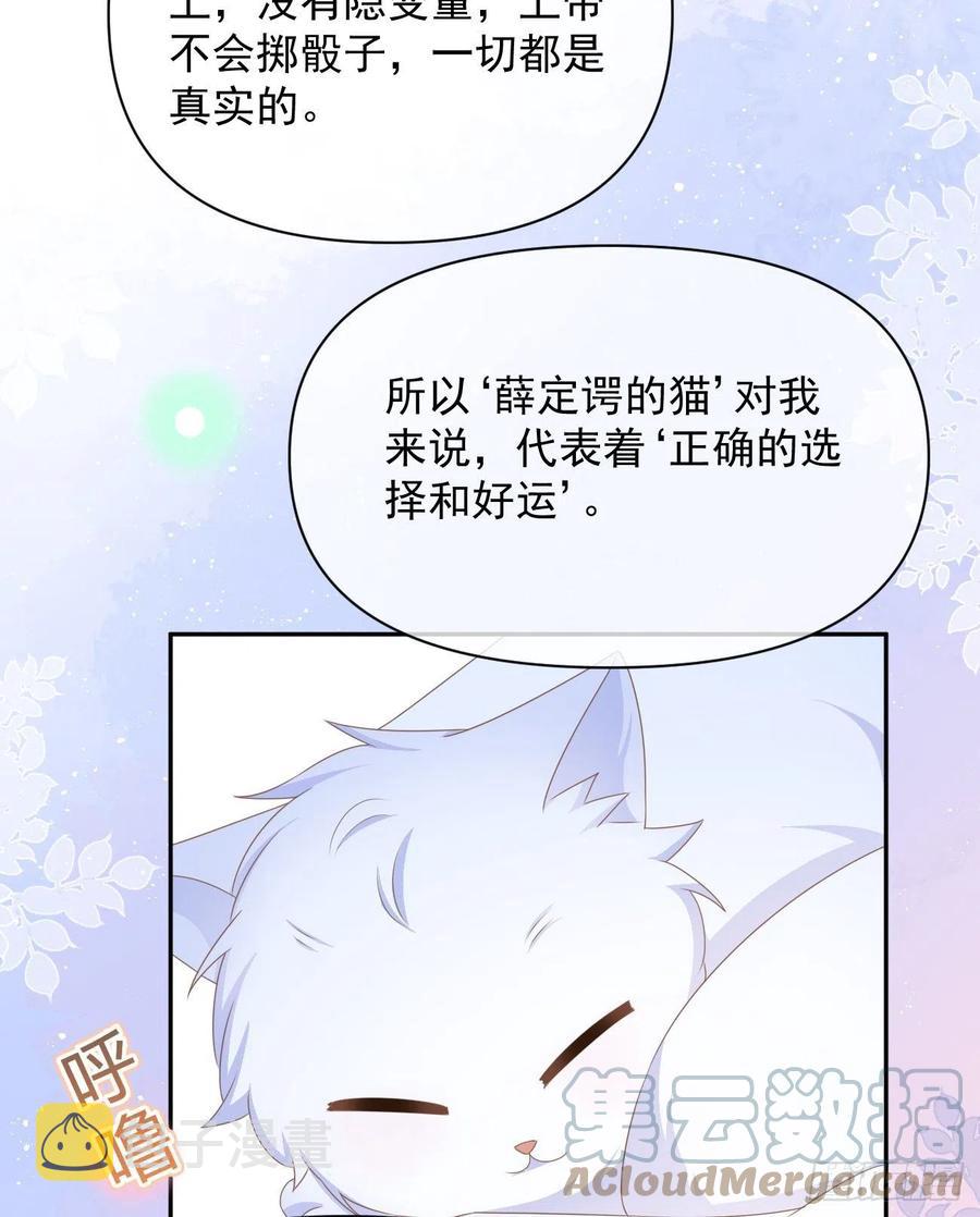 薛定谔的猫33