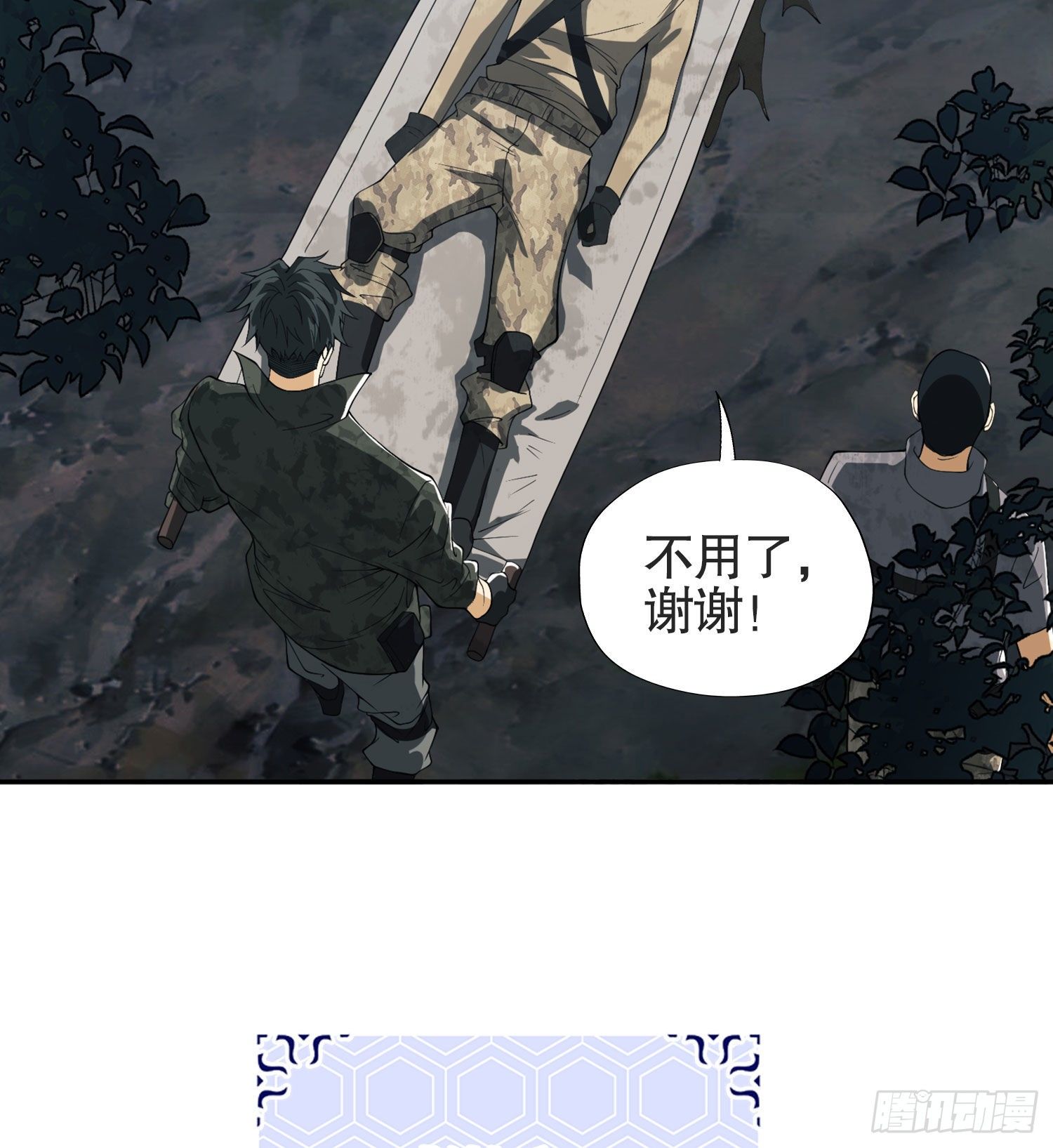 25 猪撞树上了25