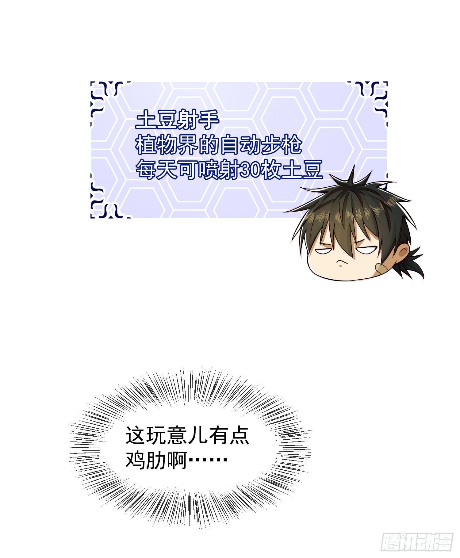 119 疯狂的植物43