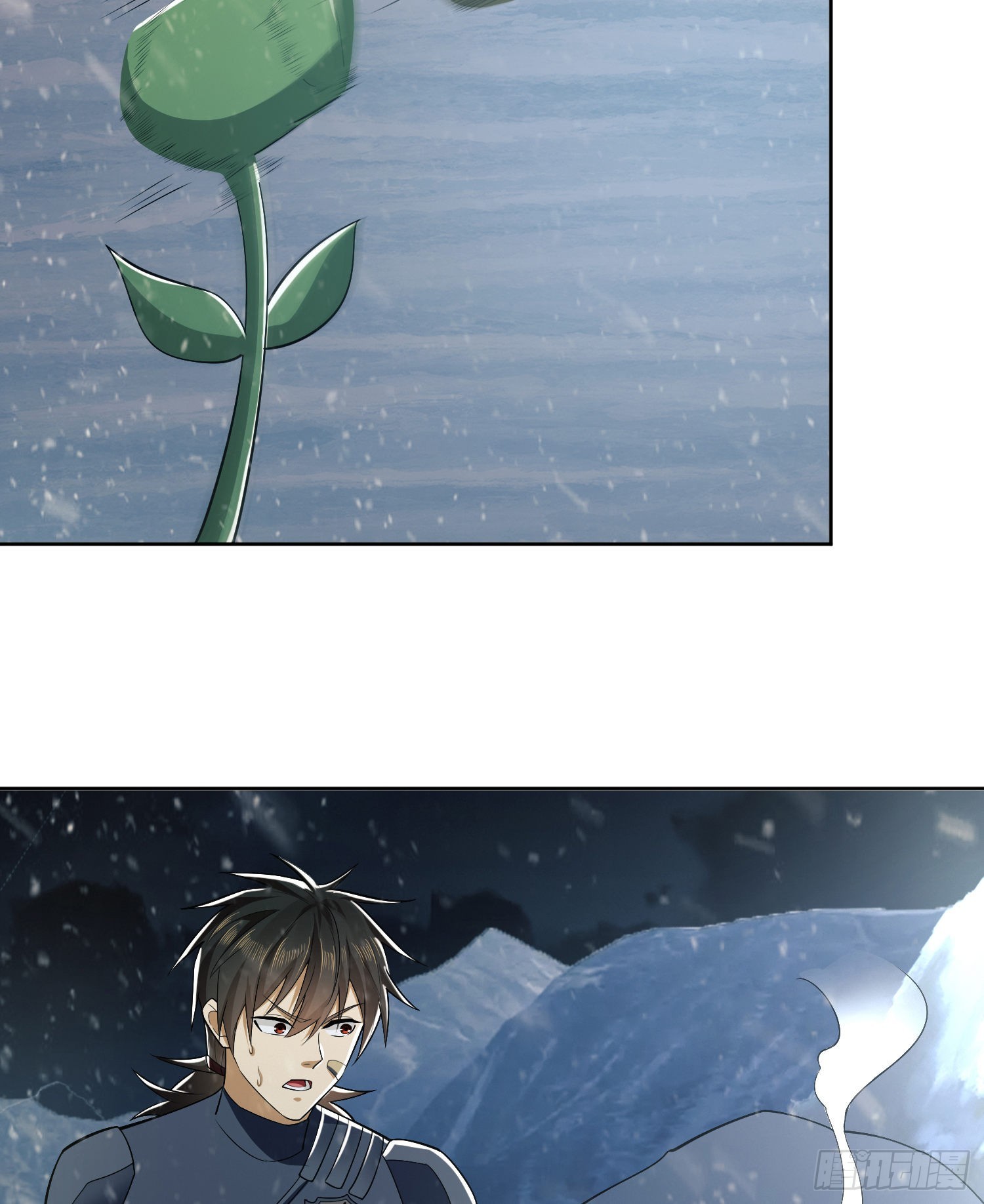 119 疯狂的植物40