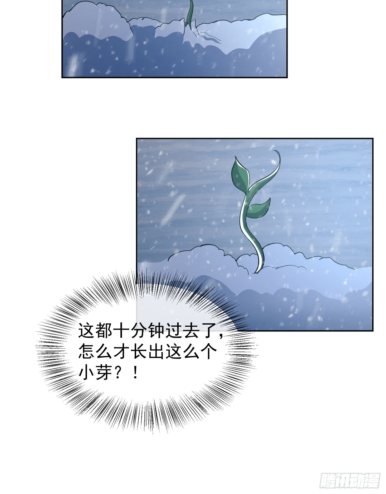 119 疯狂的植物37