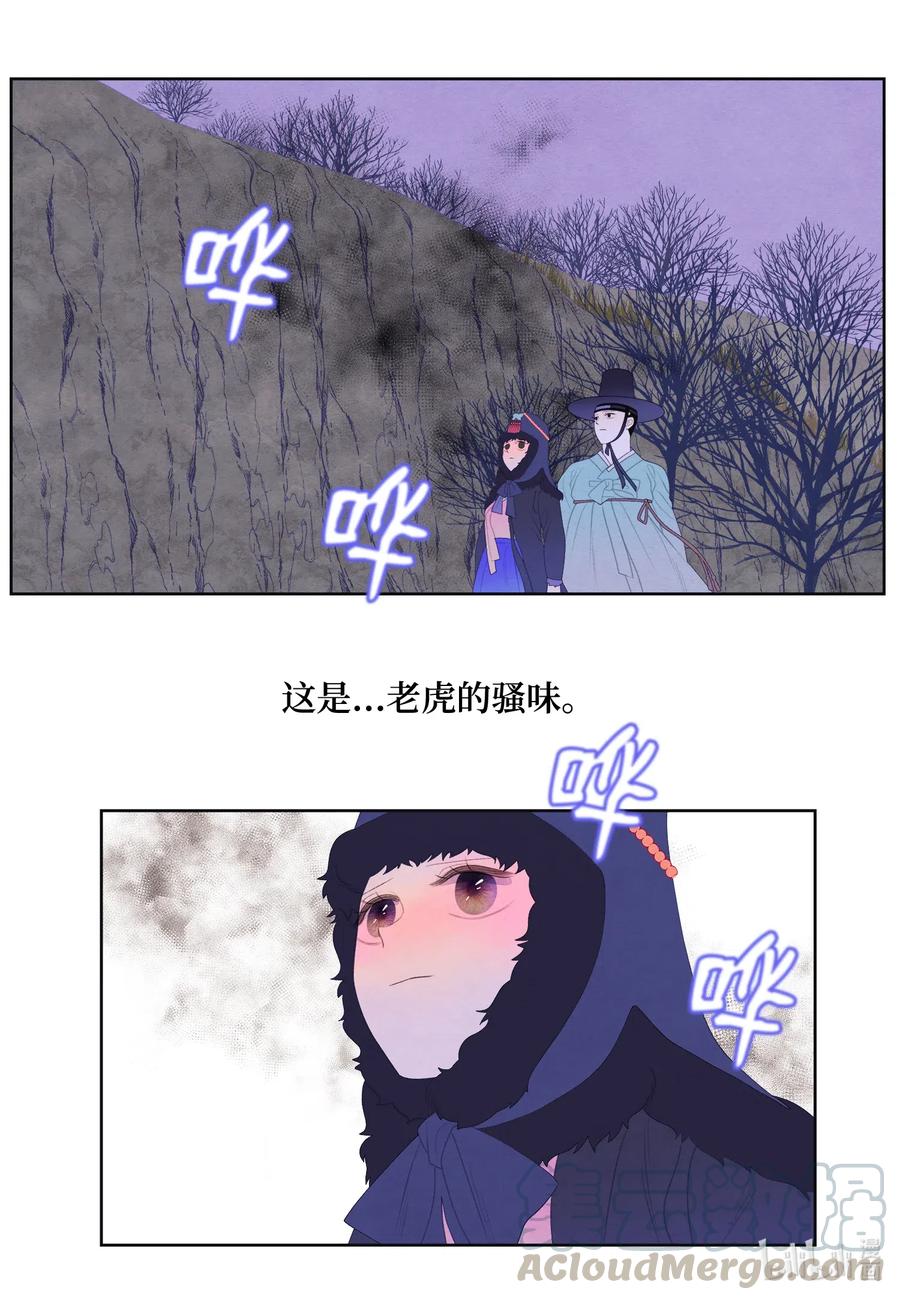 49 寻找老虎32