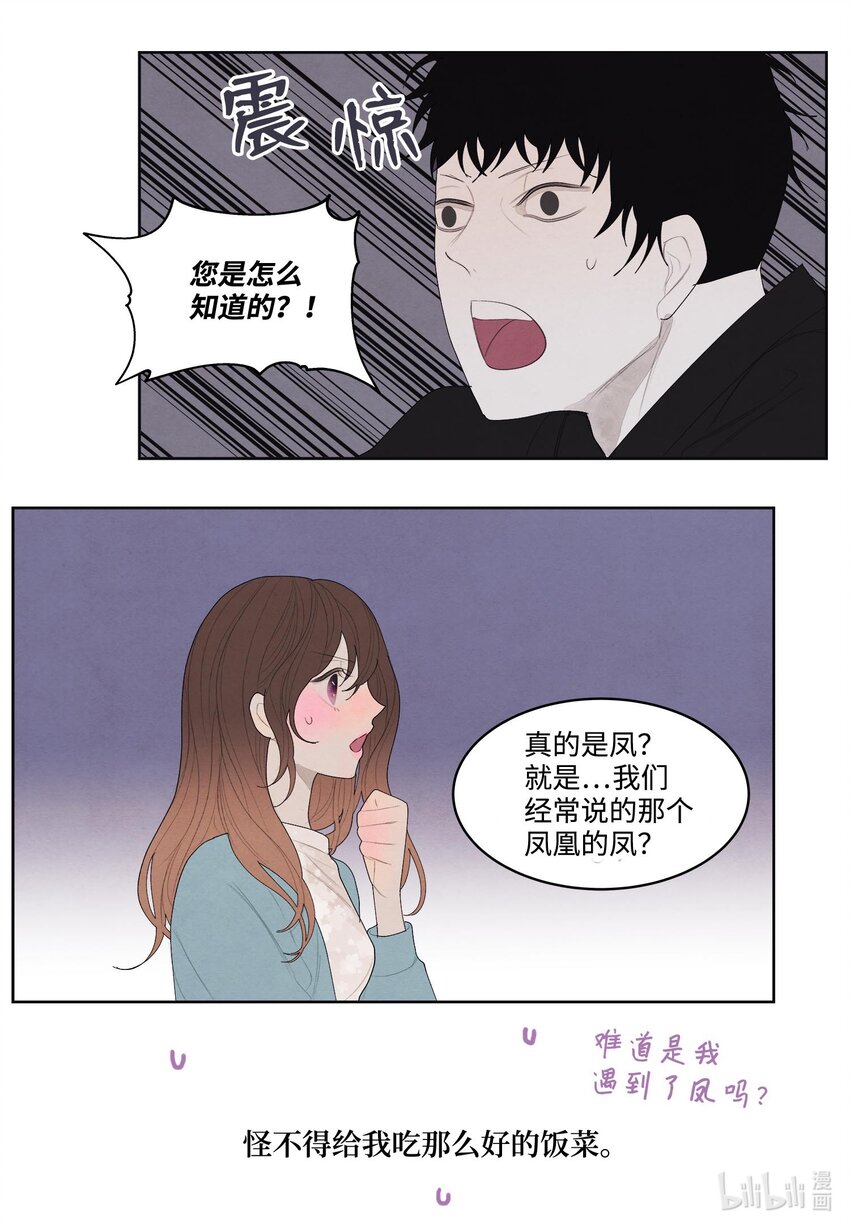 13 凤与凰22