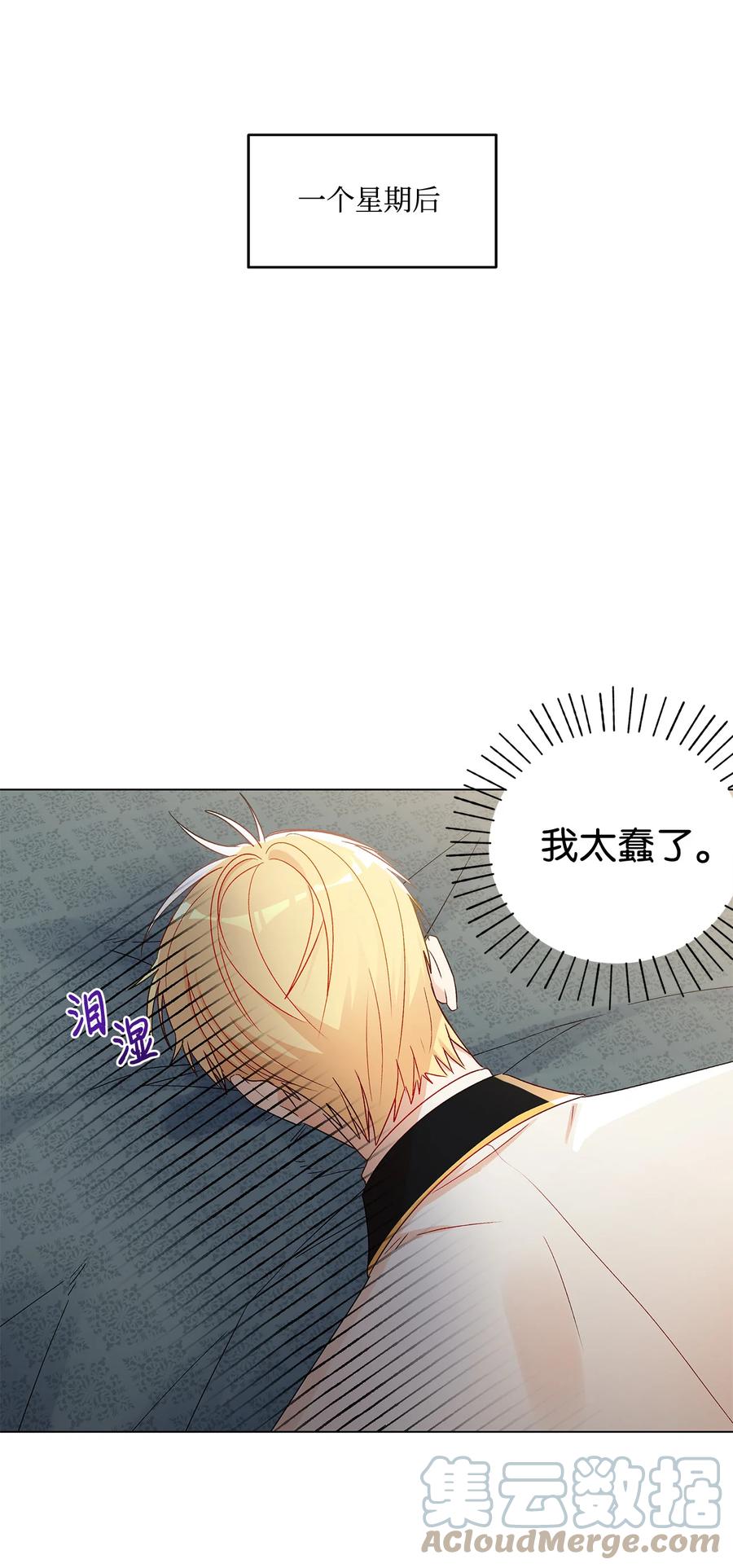 15 爱情攻略33