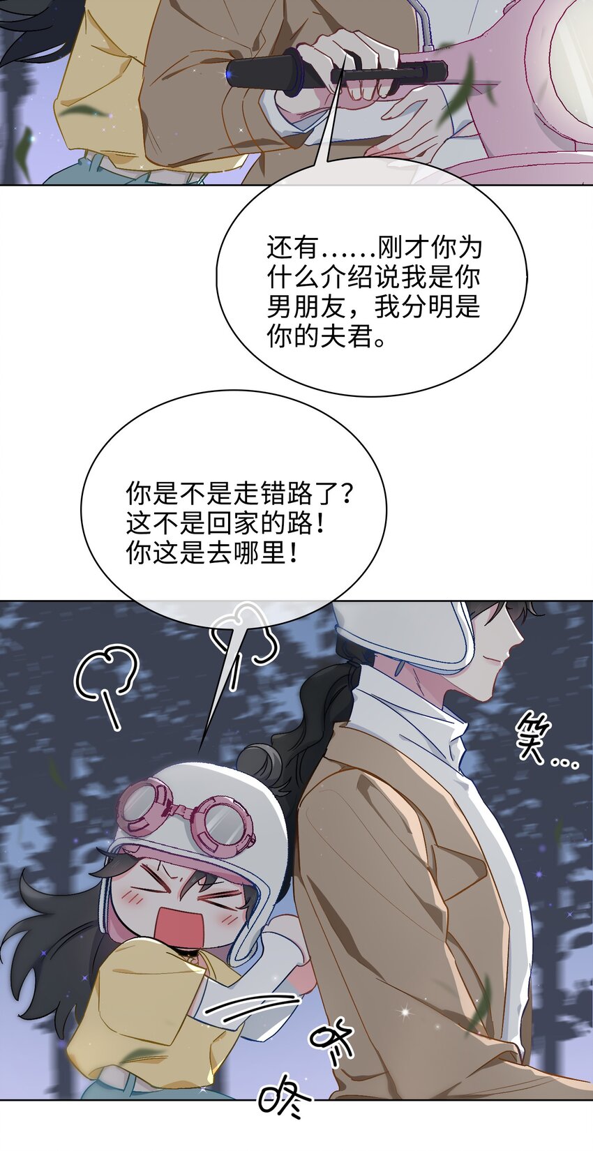 41 叶子的秘密11