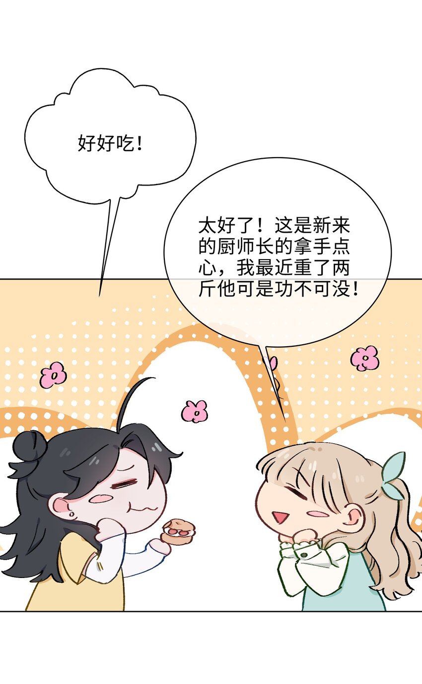 41 叶子的秘密24