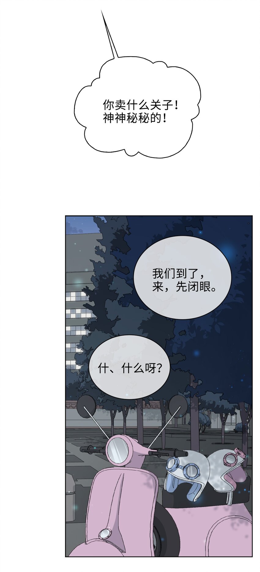 41 叶子的秘密12