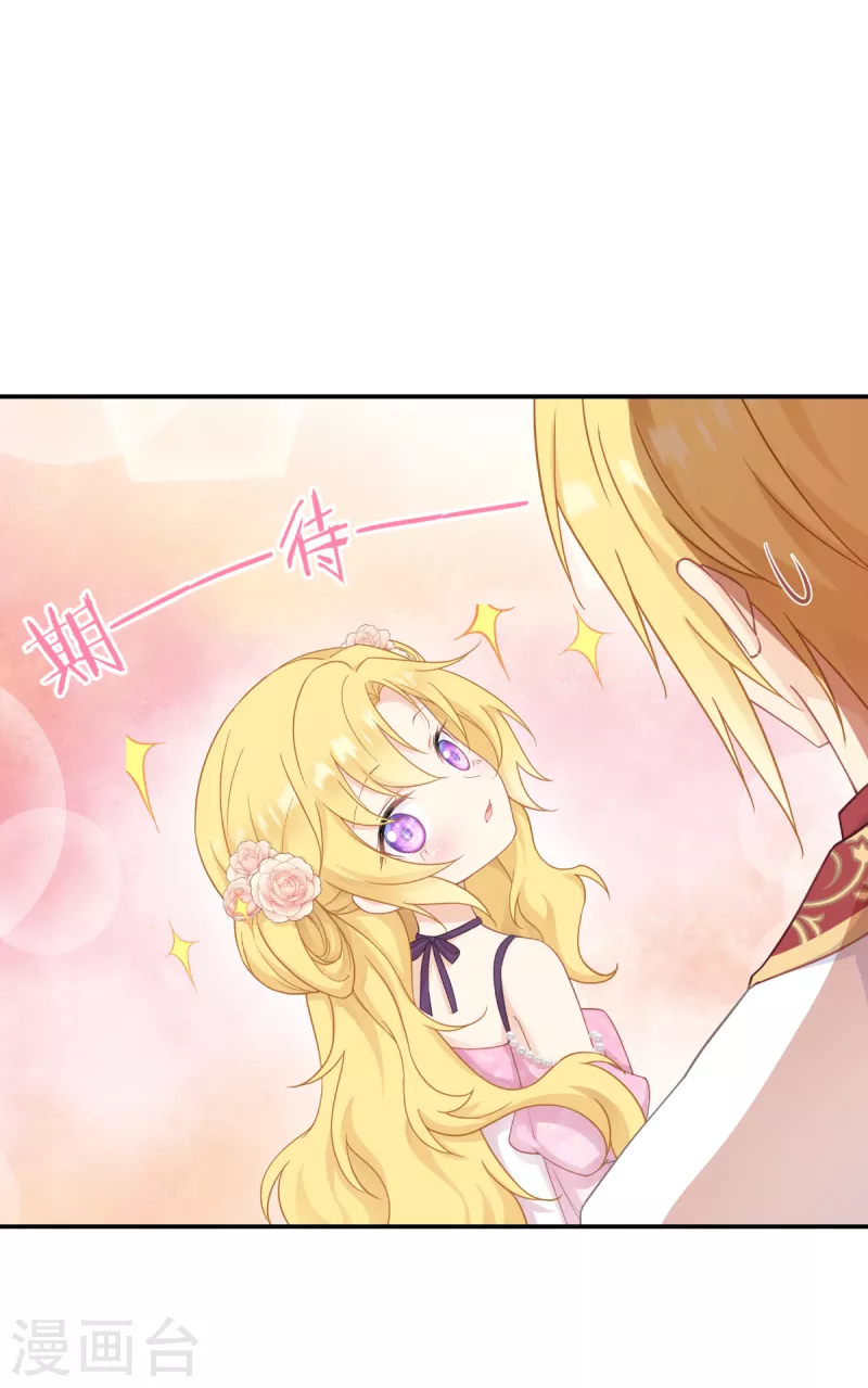 第35话 公主的生日14