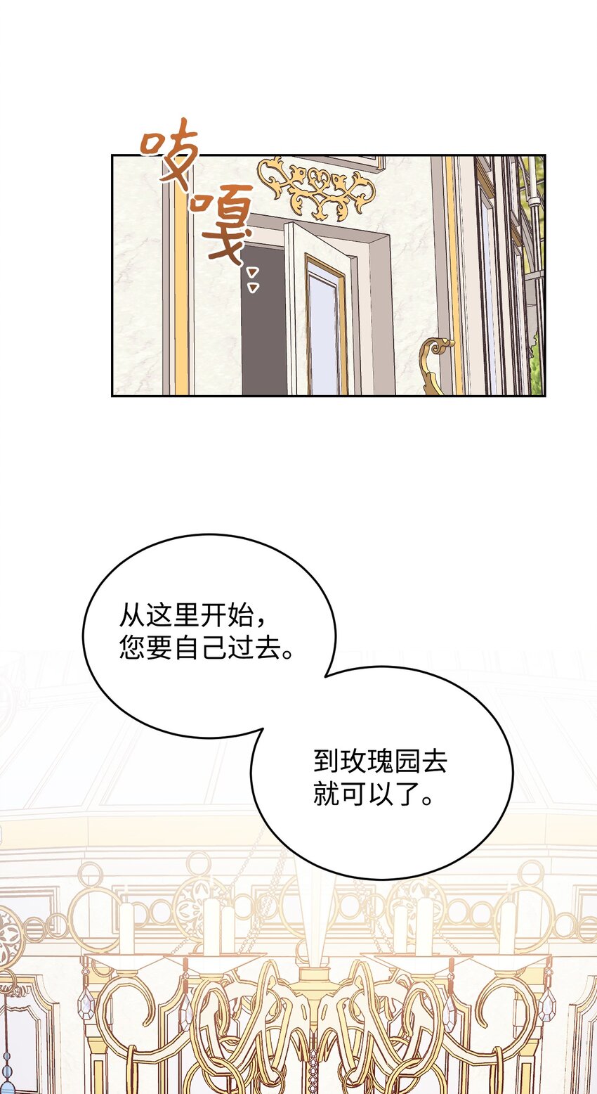 11 皇宫茶话会16