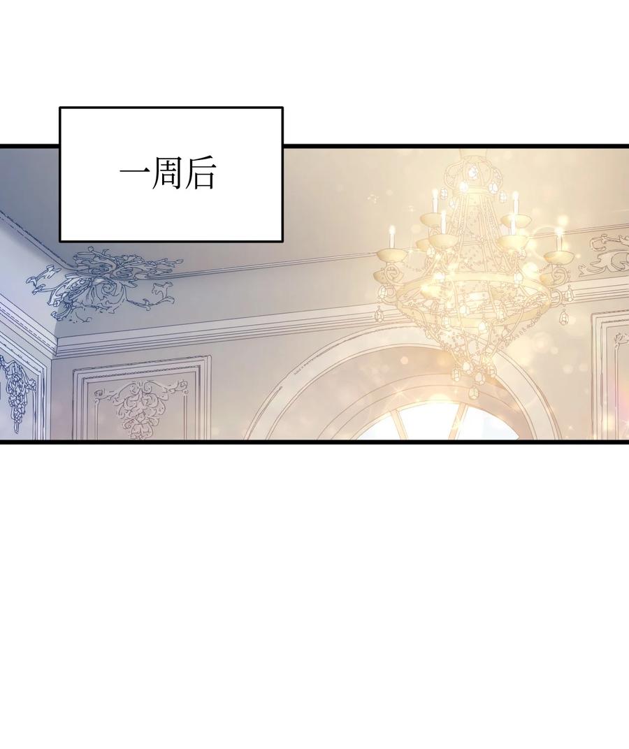 51 阴谋27