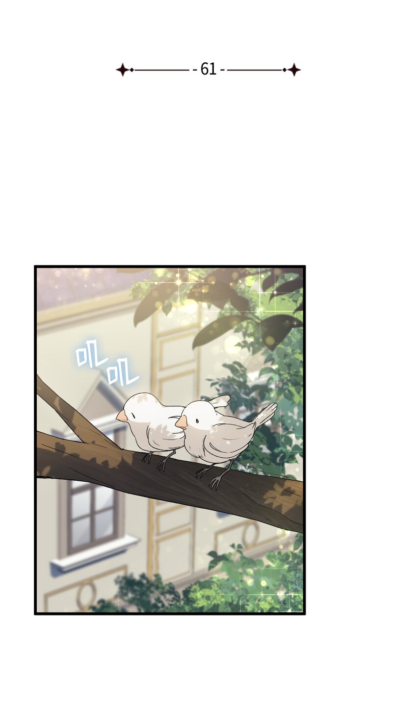 61 回归平静的生活3