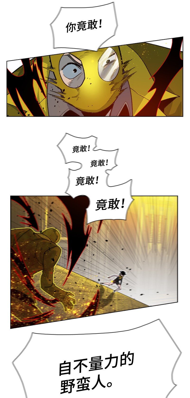 172 猫的报恩38