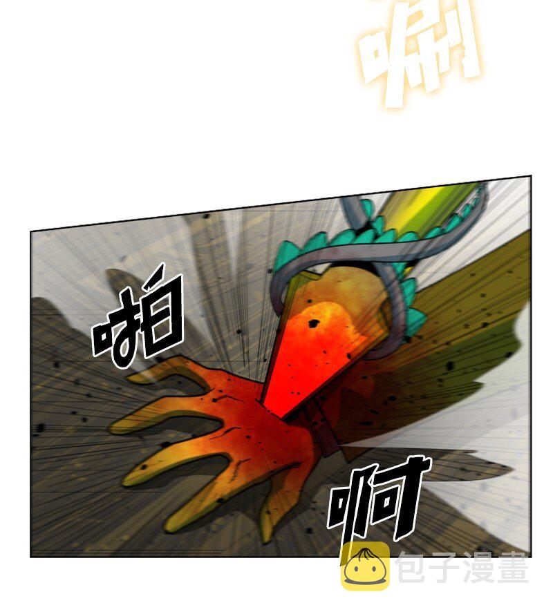 172 猫的报恩42