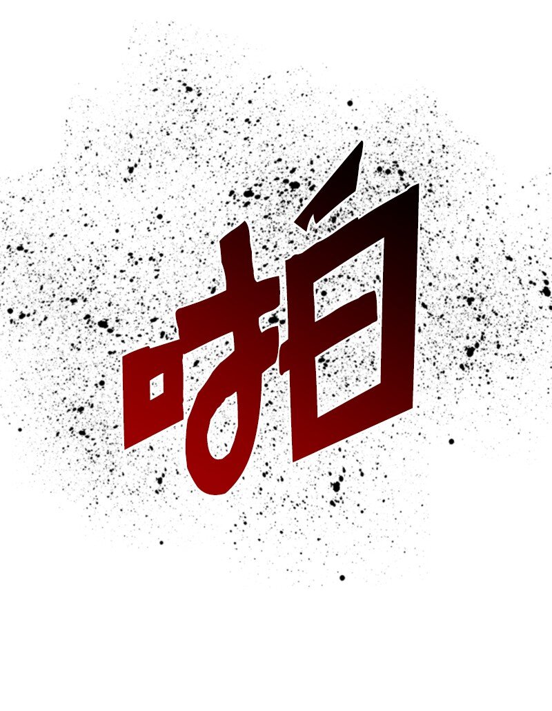172 猫的报恩57