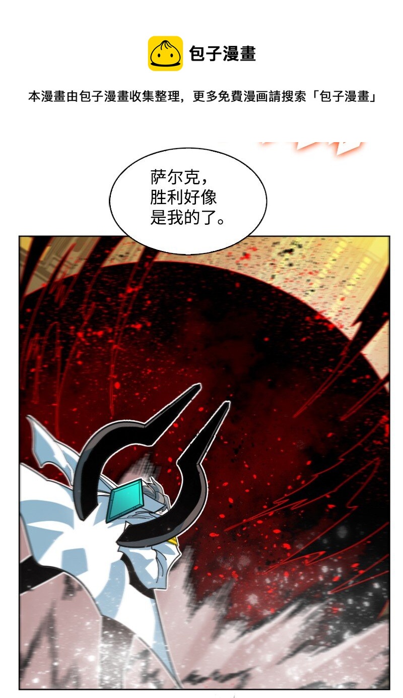 172 猫的报恩88