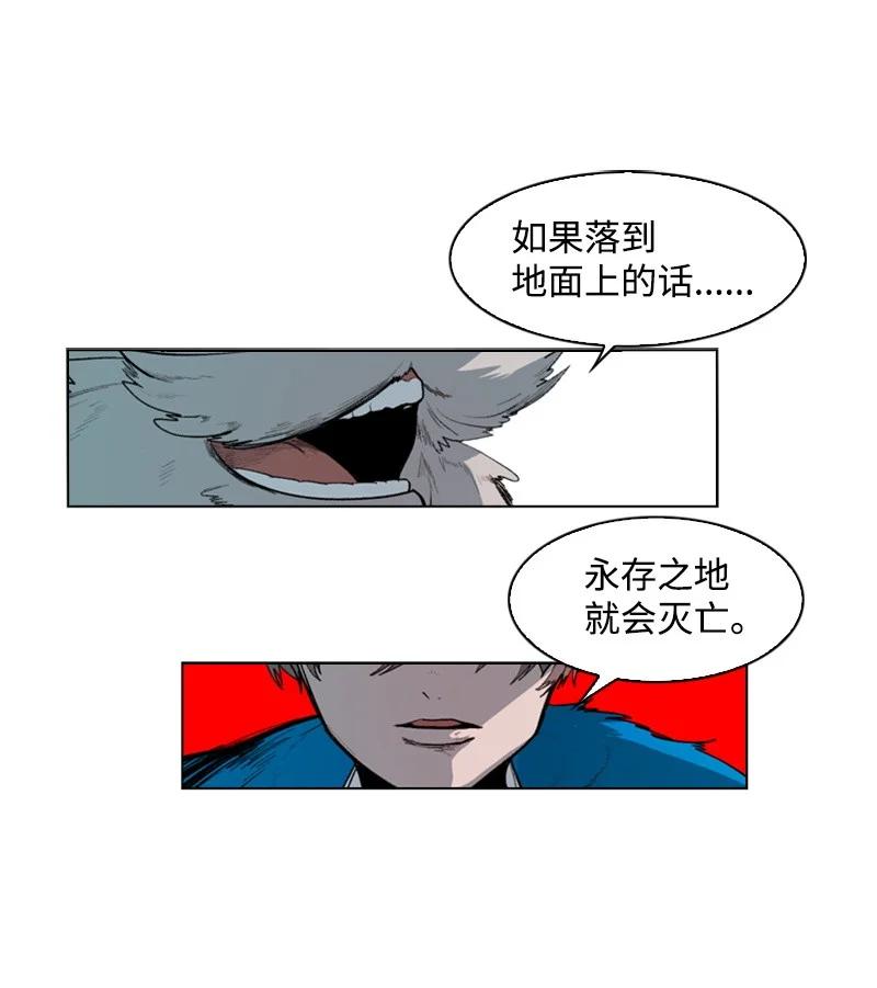 43 反对43