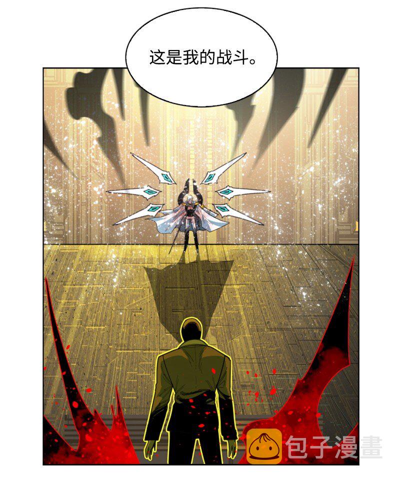 172 猫的报恩71