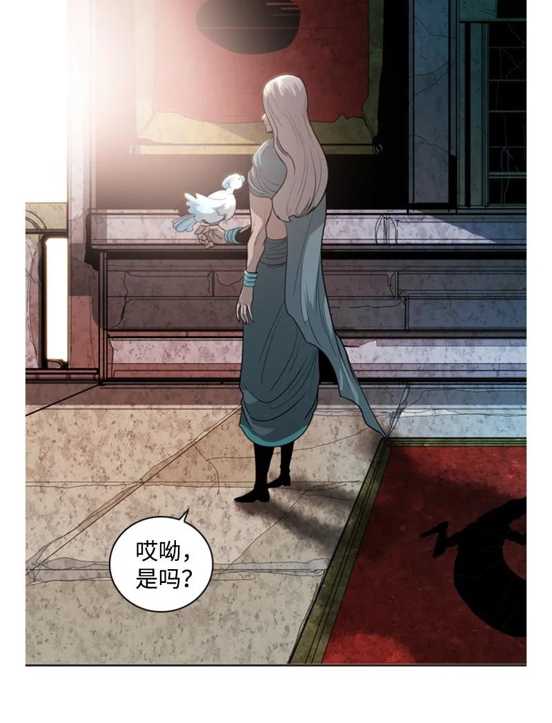 13 大师凯恩37