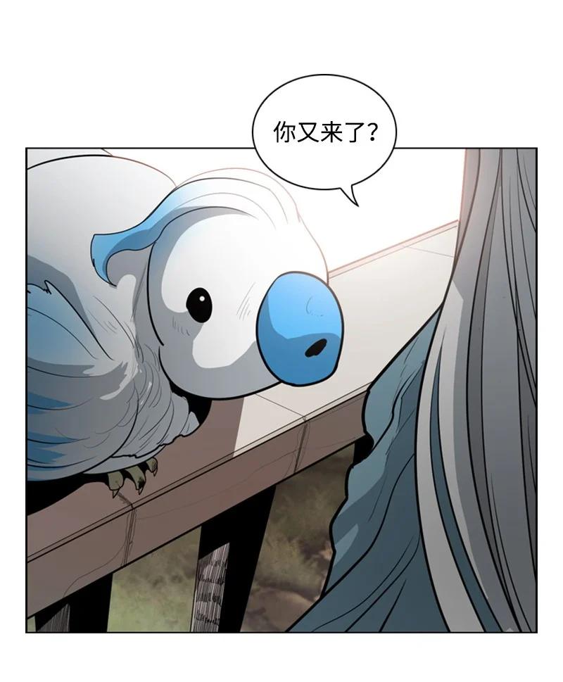 13 大师凯恩31