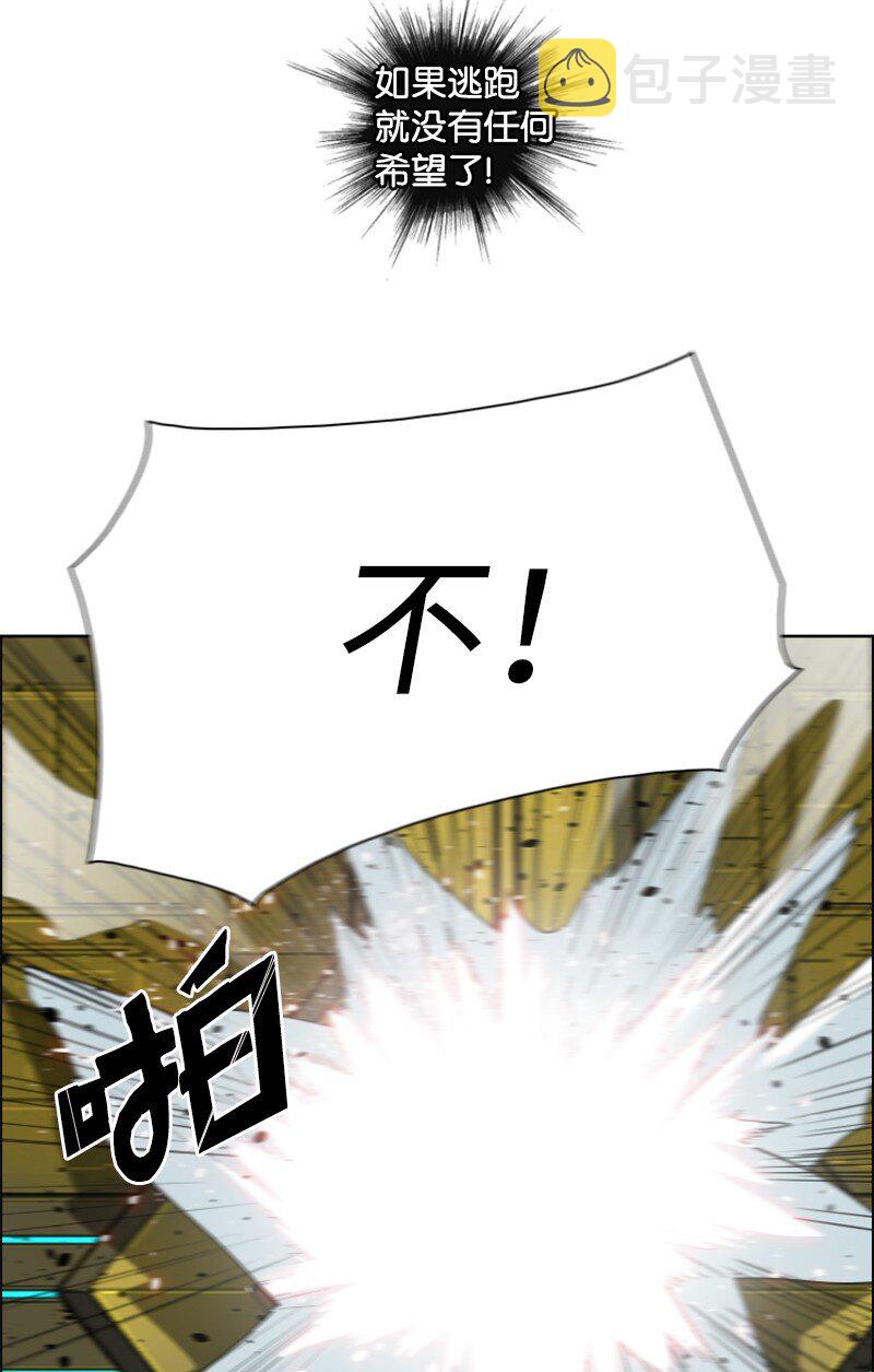 172 猫的报恩10
