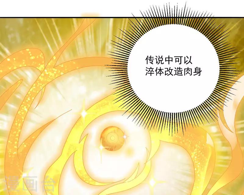 第4话 金丹14