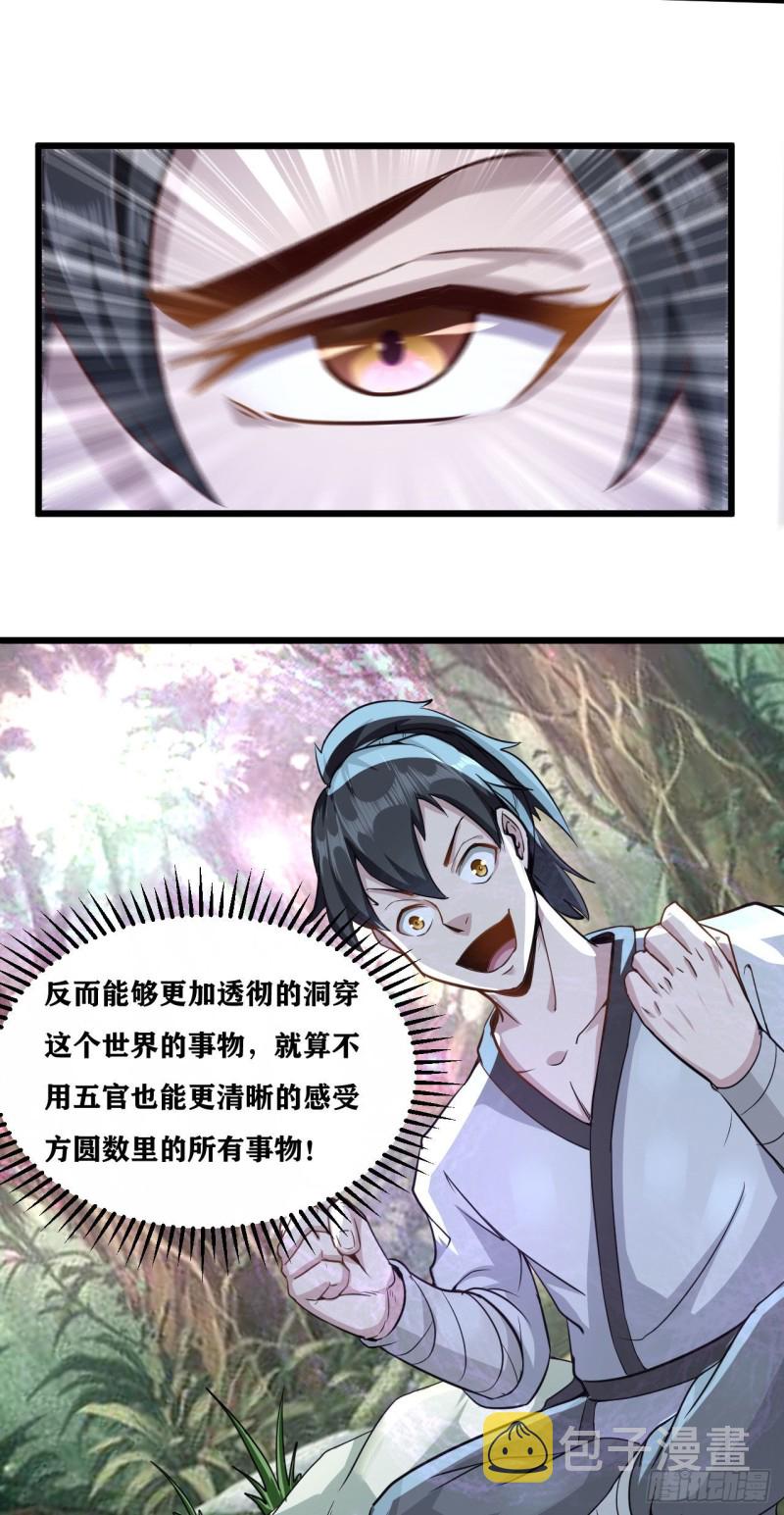 49-魔兽森林3