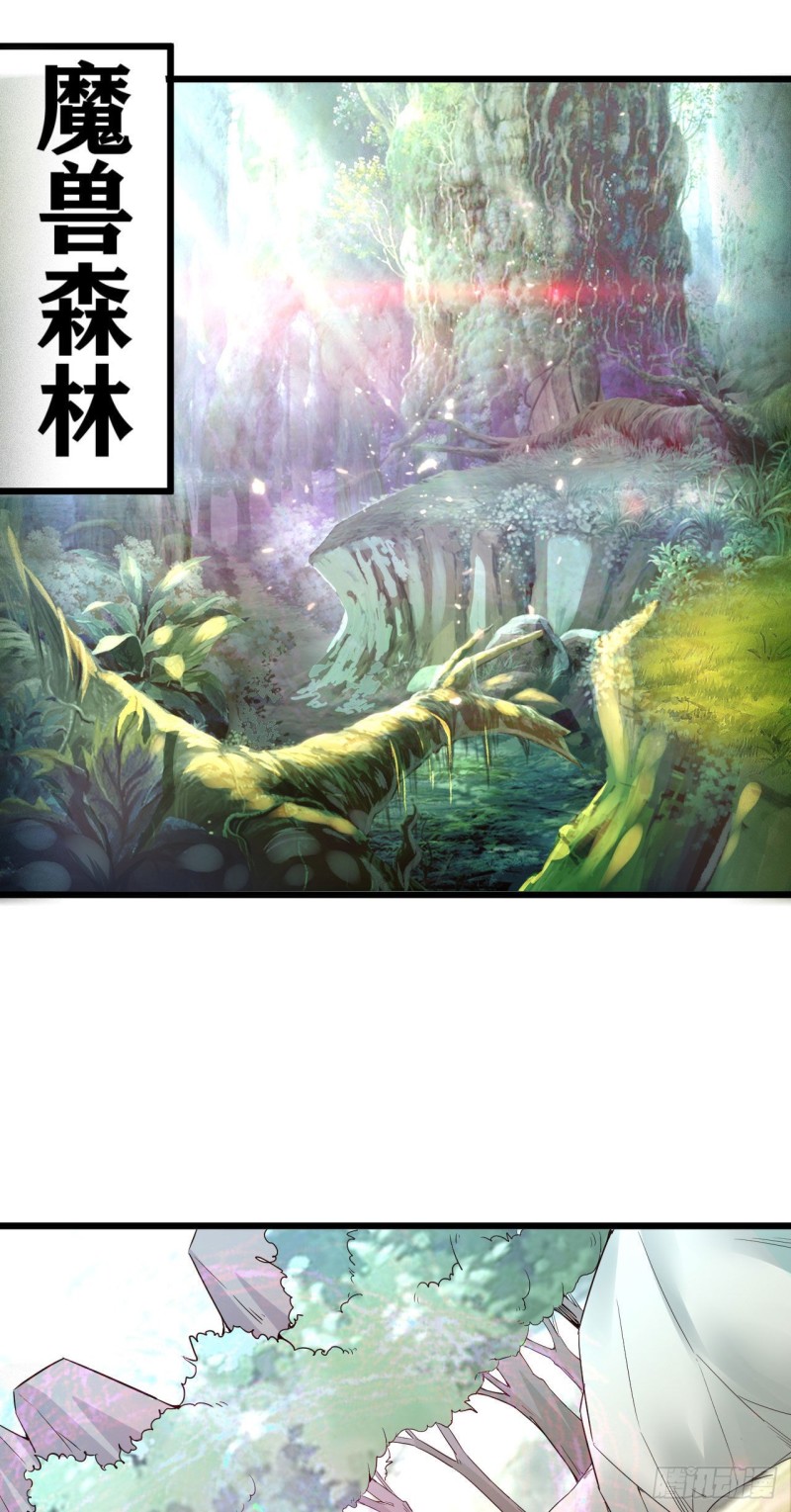 49-魔兽森林0