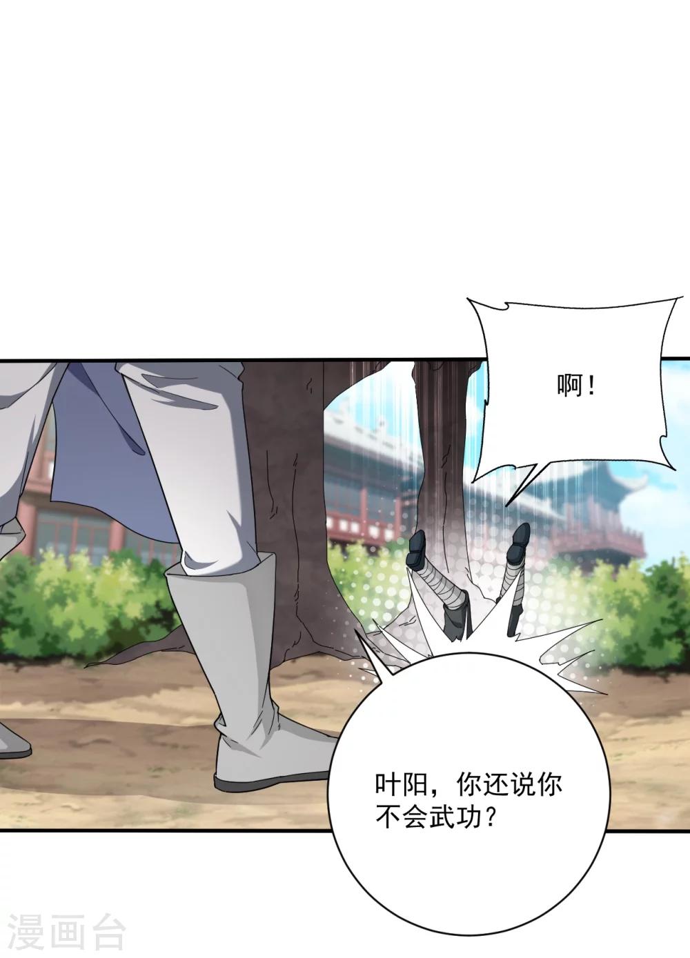 第1话 偷学武功11