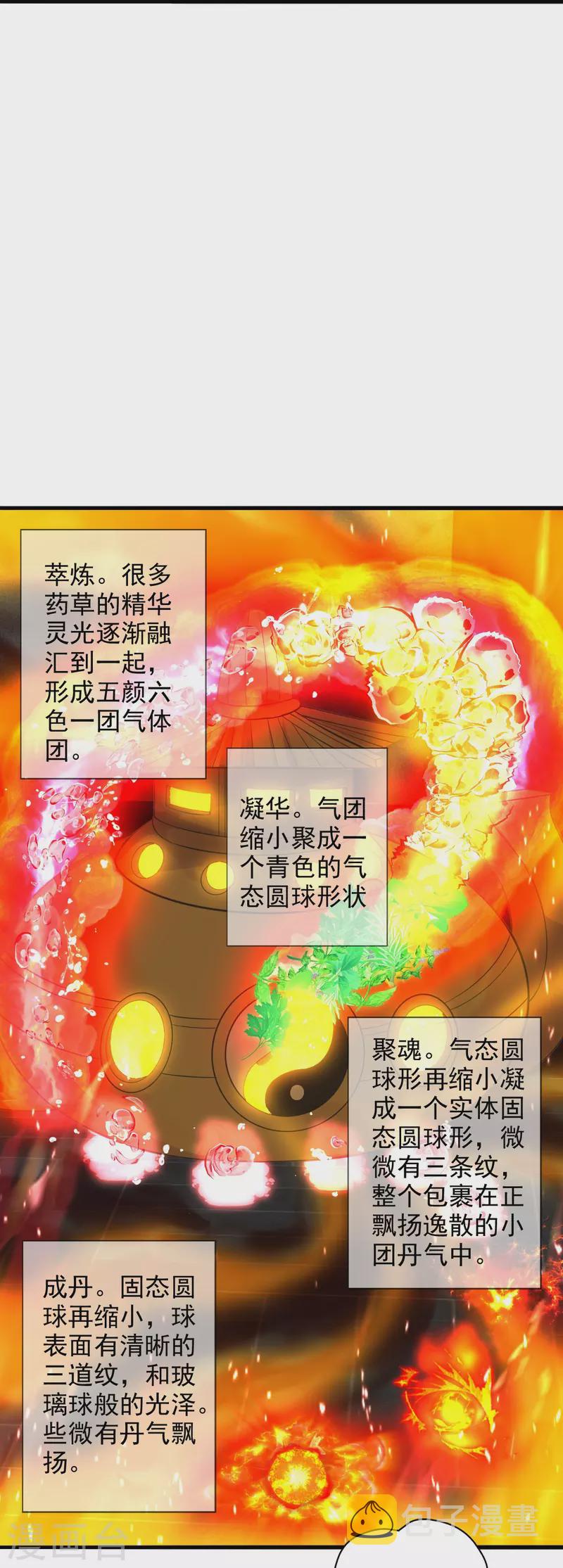 第209话 初炼三纹灵丹！4