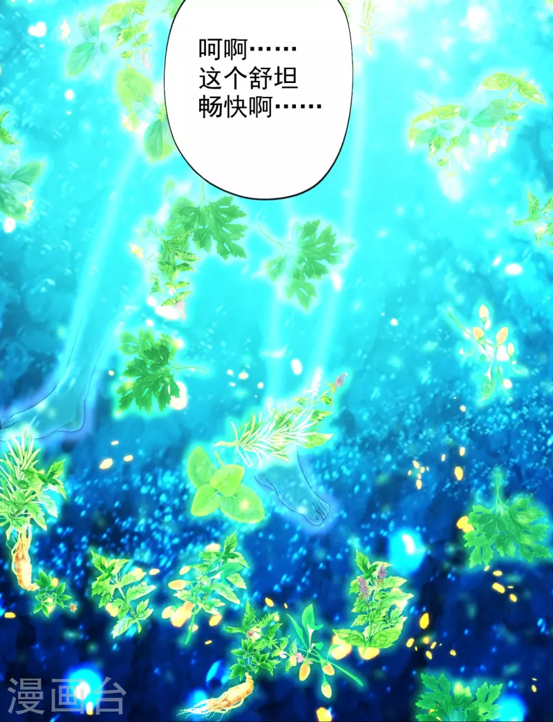 第209话 初炼三纹灵丹！12