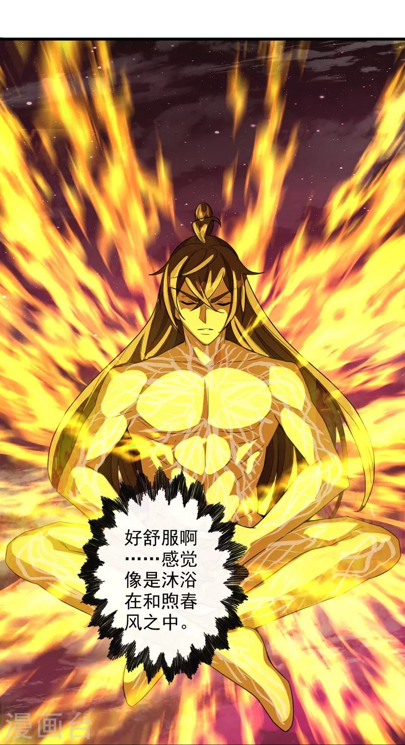 第201话 突破玄阶！24