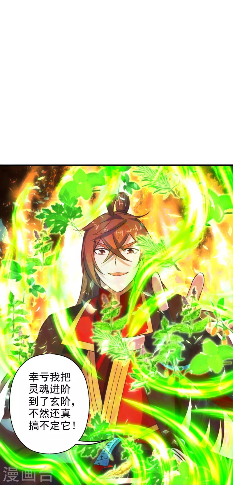 第209话 初炼三纹灵丹！3