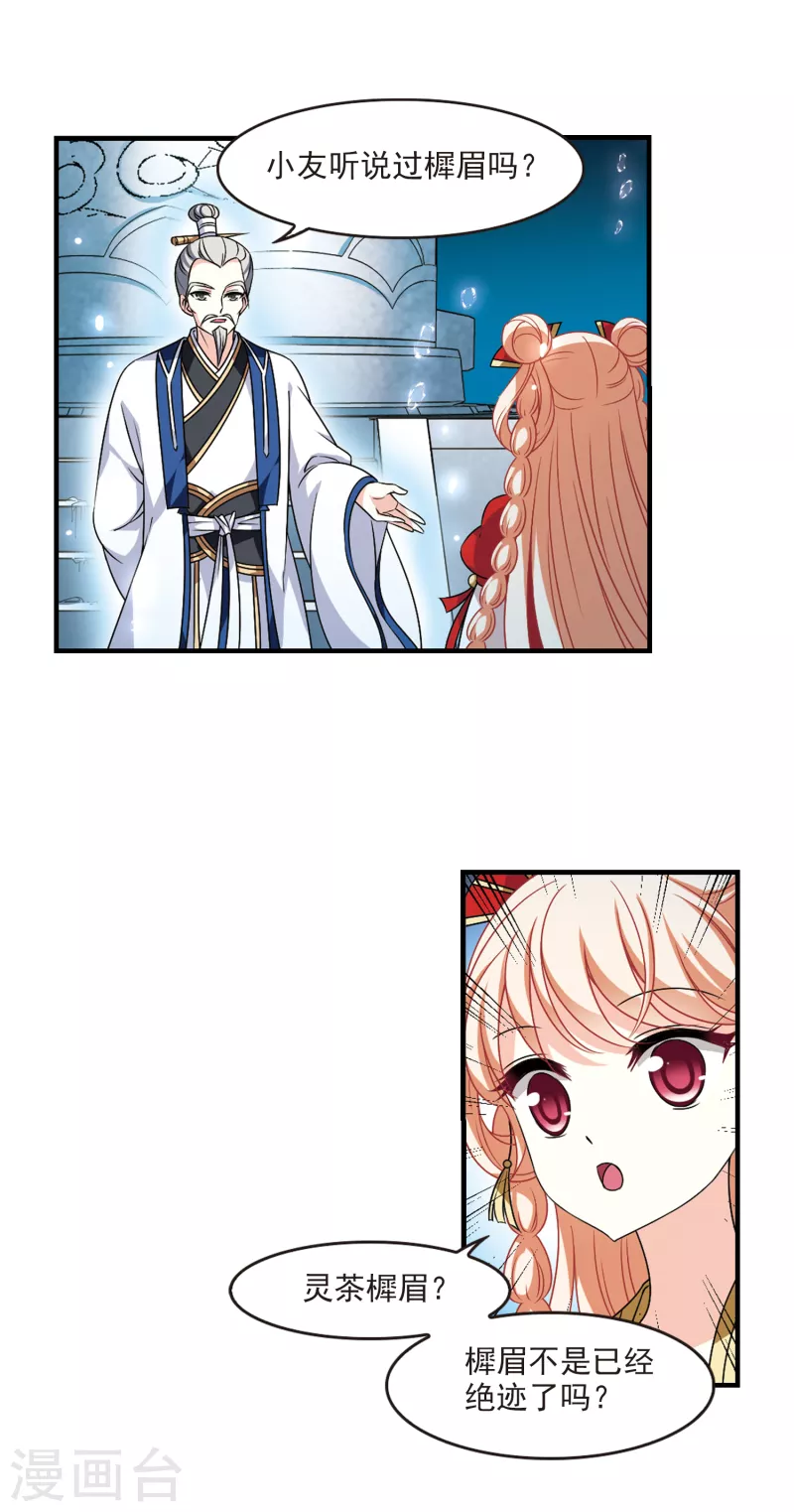 第2季96话 阵法师的遗愿315
