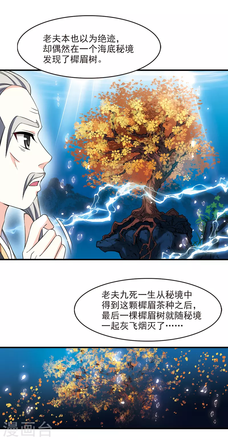 第2季96话 阵法师的遗愿316