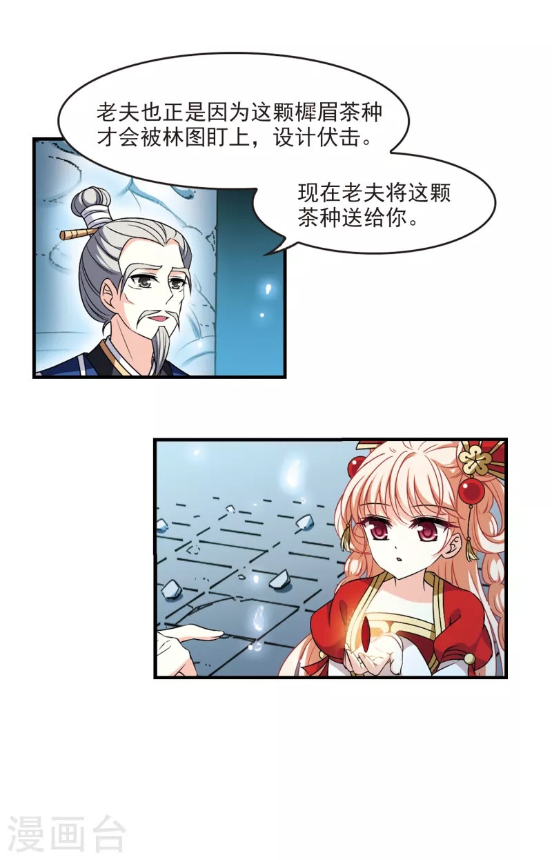 第2季96话 阵法师的遗愿317