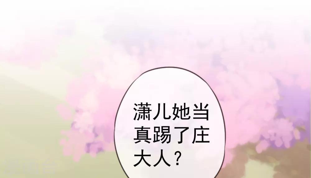 第204话 不见棺材不掉泪29