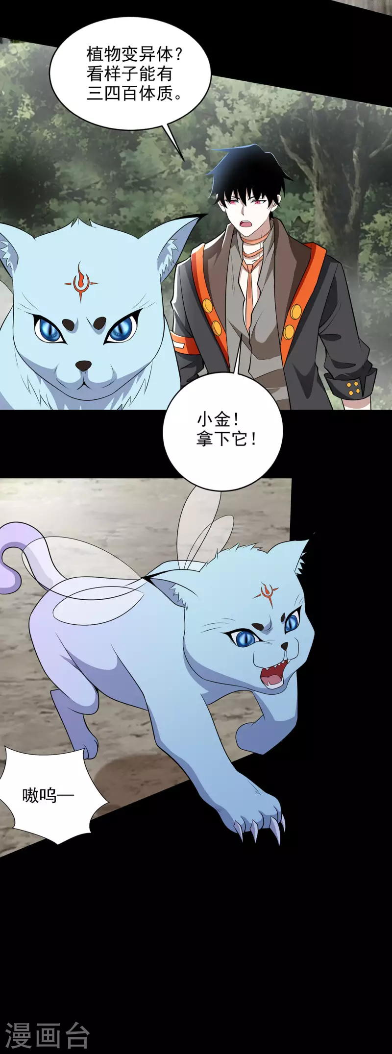第488话 愤怒的小金12