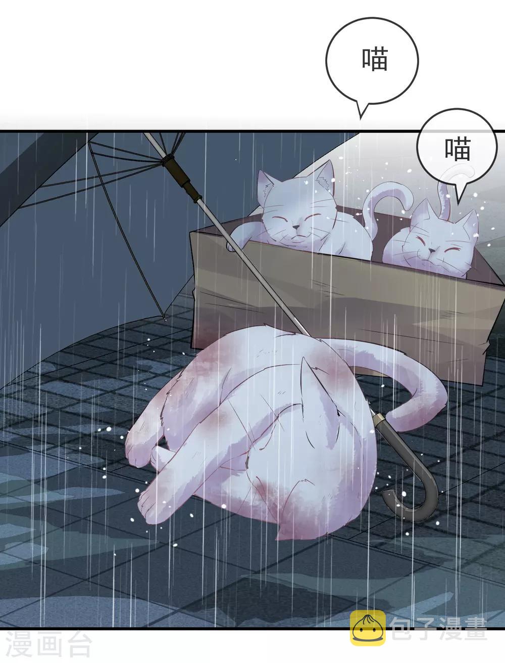 第44话 白虎降临25