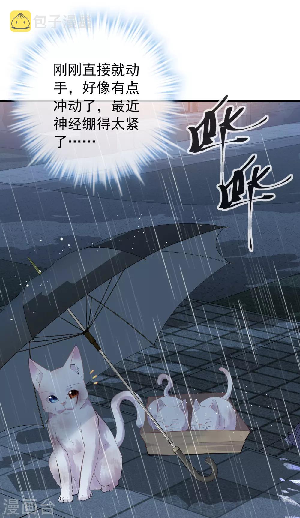 第44话 白虎降临21